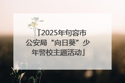 2025年句容市公安局“向日葵”少年警校主题活动