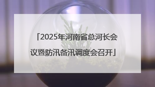 2025年河南省总河长会议暨防汛备汛调度会召开