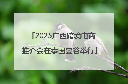 2025广西跨境电商推介会在泰国曼谷举行