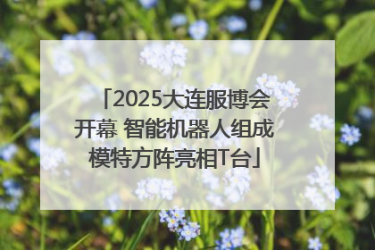 2025大连服博会开幕 智能机器人组成模特方阵亮相T台