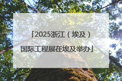 2025浙江（埃及）国际工程展在埃及举办