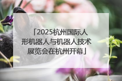 2025杭州国际人形机器人与机器人技术展览会在杭州开幕