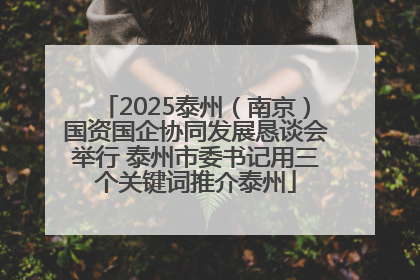 2025泰州（南京）国资国企协同发展恳谈会举行 泰州市委书记用三个关键词推介泰州