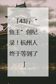 43斤“鱼王”创纪录！杭州人终于等到了