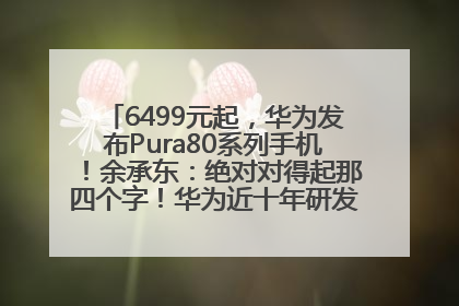 6499元起，华为发布Pura80系列手机！余承东：绝对对得起那四个字！华为近十年研发投入12490亿元