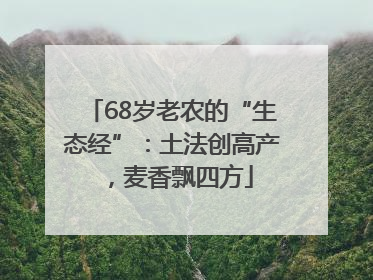 68岁老农的“生态经”：土法创高产，麦香飘四方
