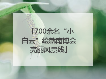 700余名“小白云”绘就南博会亮丽风景线