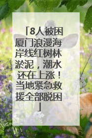 8人被困厦门浪漫海岸线红树林淤泥，潮水还在上涨！当地紧急救援全部脱困