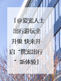 @爱宠人士 出行游玩全升级 快来开启“携宠出行”新体验