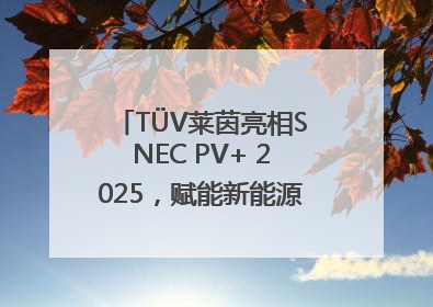 TÜV莱茵亮相SNEC PV+ 2025，赋能新能源产业高质量发展